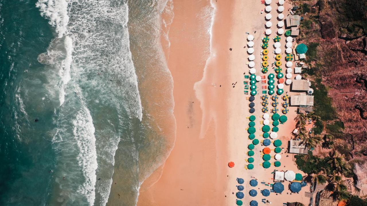 بيت شباب Surfcamp Arara Praia de Pipa المظهر الخارجي الصورة