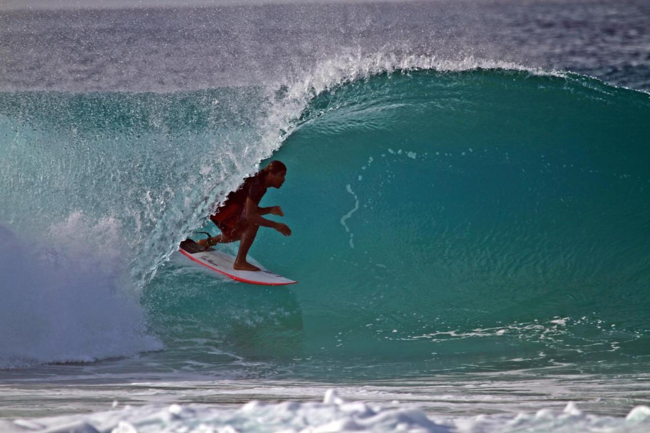 بيت شباب Surfcamp Arara Praia de Pipa المظهر الخارجي الصورة